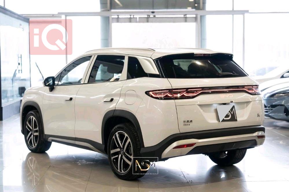 بي واي دي سونغ L DM-i